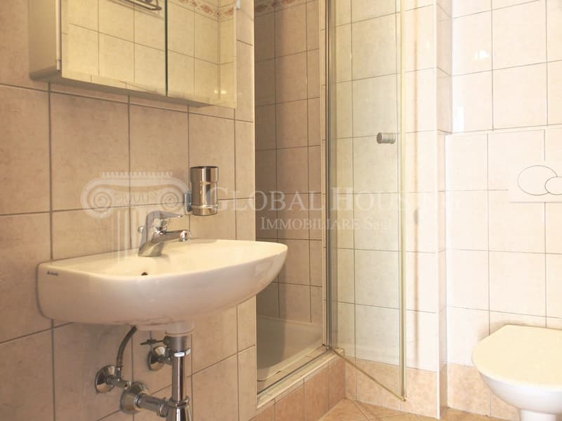 A bathroom with a sink, shower stall, and toilet.