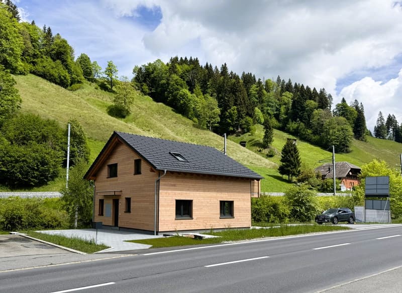Modernes Einfamilienhaus in Wiggen, erbaut nach dem Minergie-Standard, mit großem Garten (7)