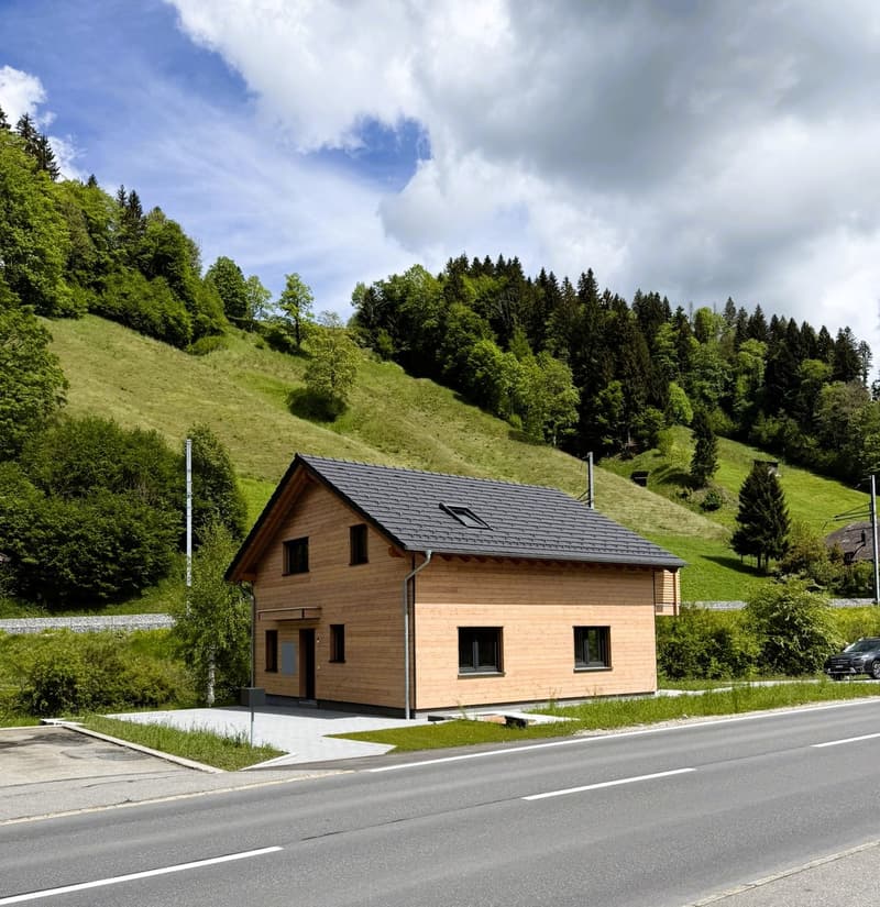 Modernes Einfamilienhaus in Wiggen, erbaut nach dem Minergie-Standard, mit großem Garten (6)