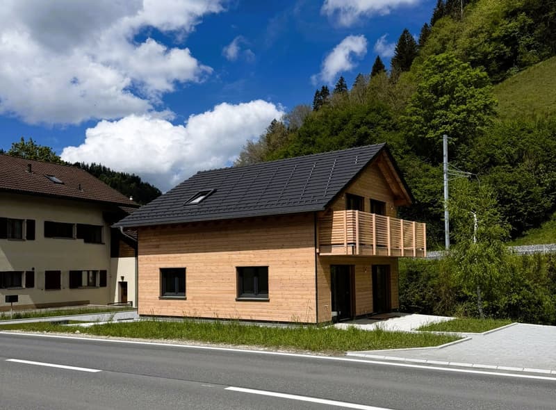 Modernes Einfamilienhaus in Wiggen, erbaut nach dem Minergie-Standard, mit großem Garten (3)