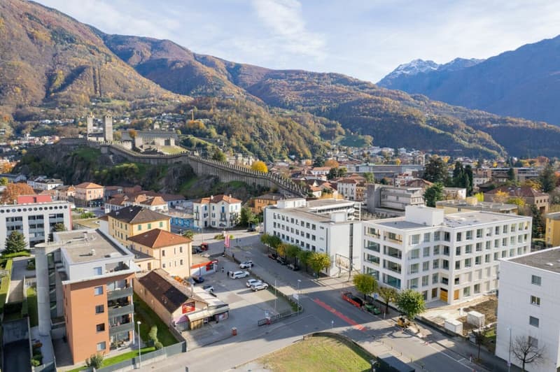 Portone 17 Residence 3.5 Rooms (3)
