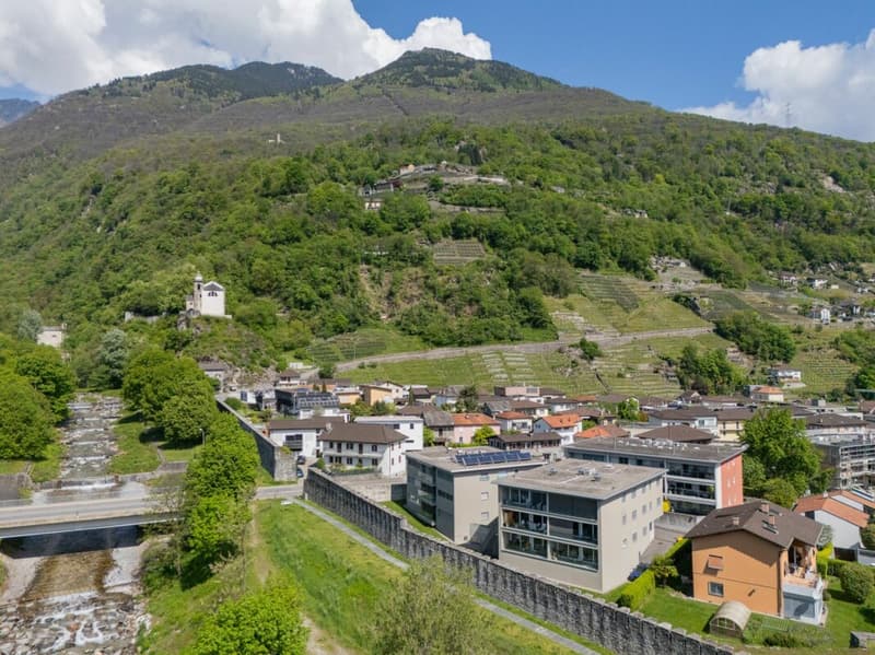 Vendiamo a Monte Carasso bel 4.5 locali attorniato dalla murata (4)