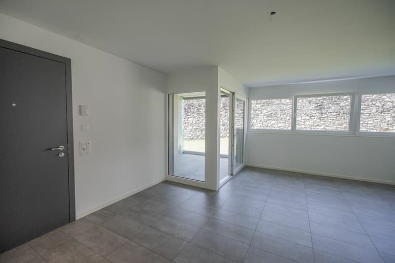 Vendiamo a Monte Carasso bel 4.5 locali attorniato dalla murata (6)
