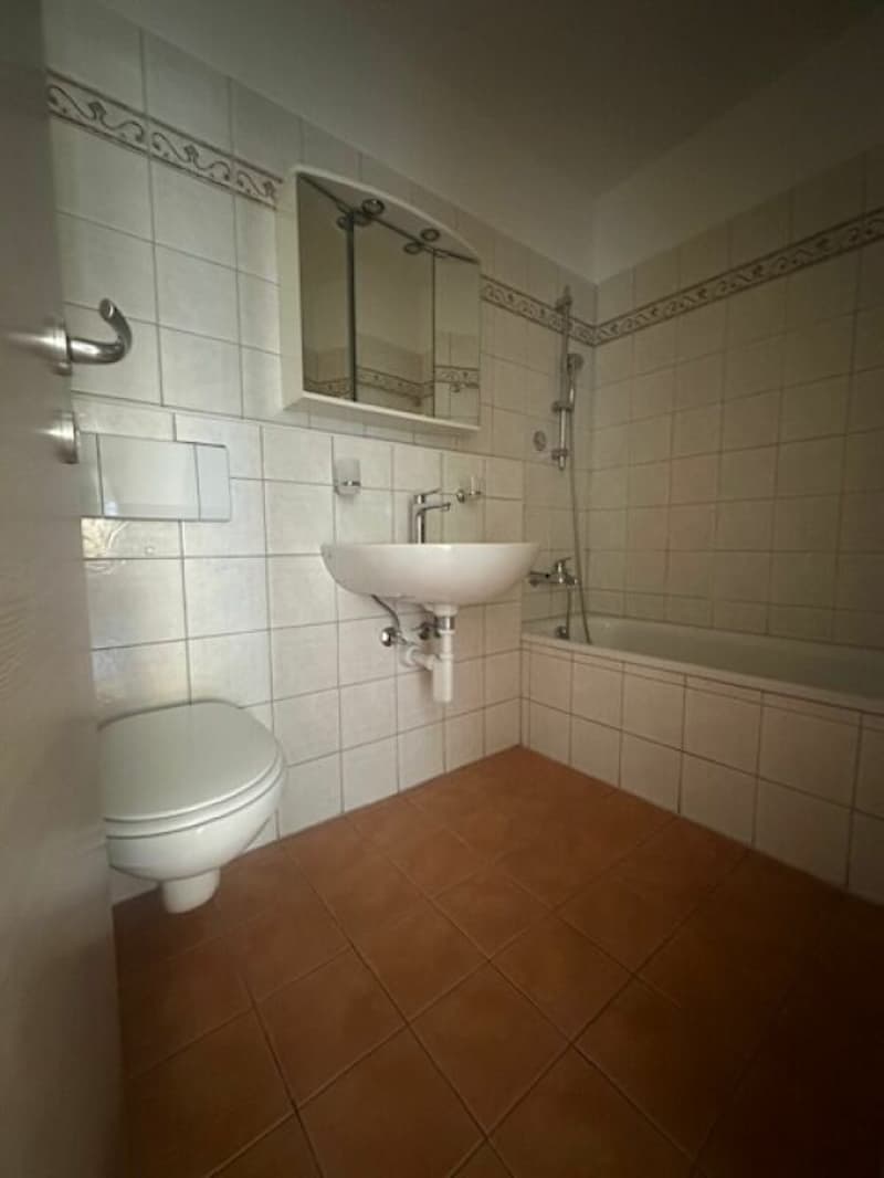 Vendiamo spazioso 3.5 locali al pianterreno (9)