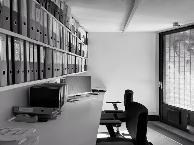 Location di prestigio - Postazioni coworking e spazi di lavoro flessibili a Monte Carasso (4)