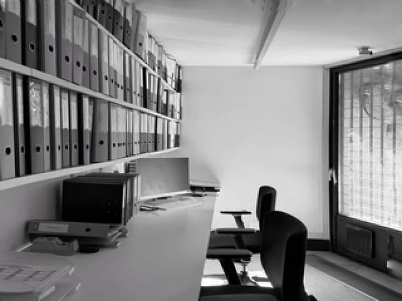 Location di prestigio - Postazioni coworking e spazi di lavoro flessibili a Monte Carasso (14)