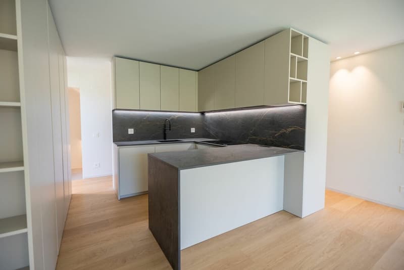 Vendiamo splendide ville design a Cadro (11)