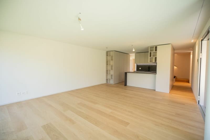 Hochmoderne Design-Villen in Cadro (9)