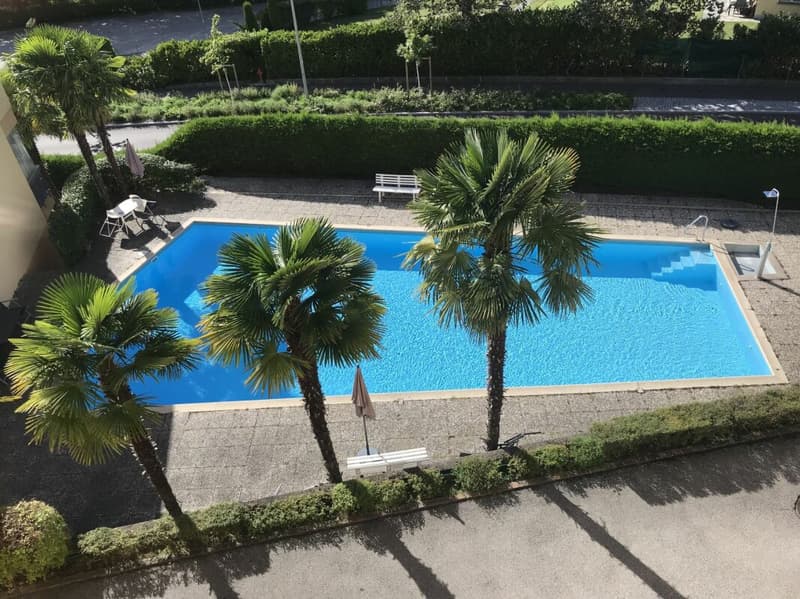 Bel 3.5 locali con terrazzo (2)