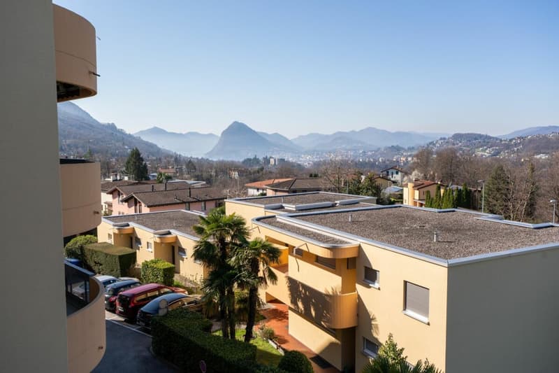 Bel 3.5 locali con terrazzo (3)