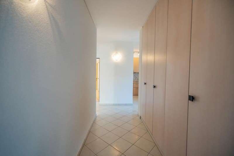 Bel 3.5 locali con terrazzo (6)
