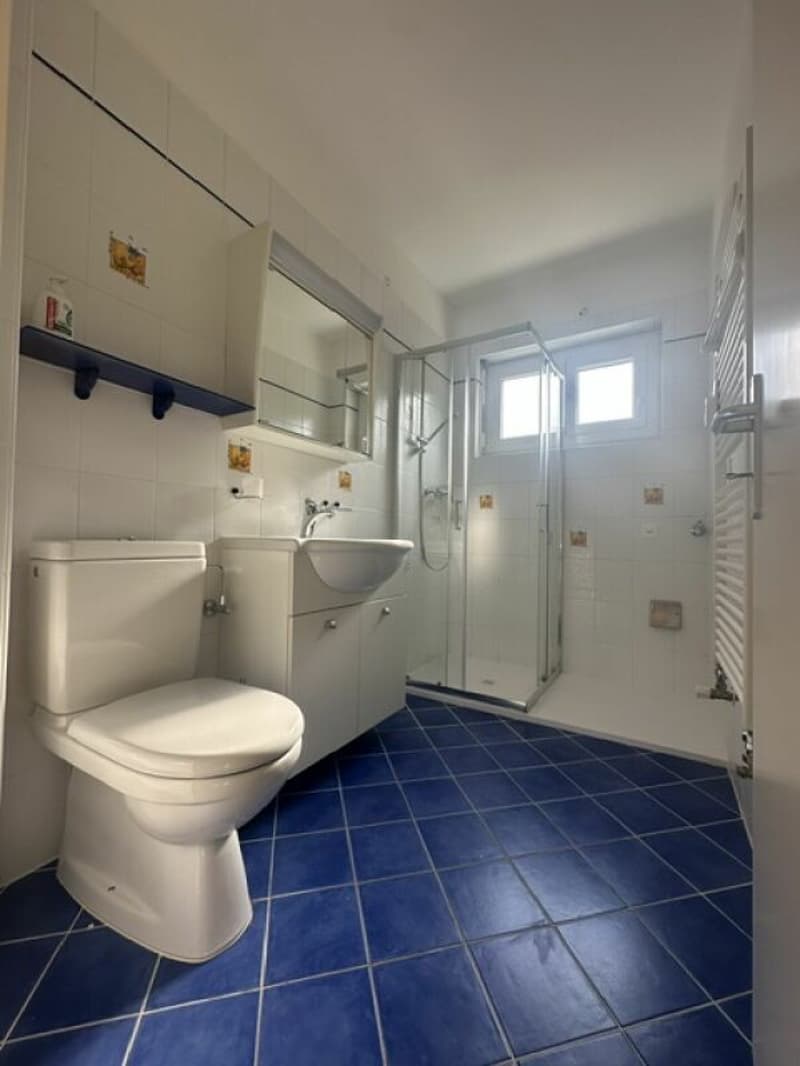 Bel 3.5 locali con terrazzo (11)