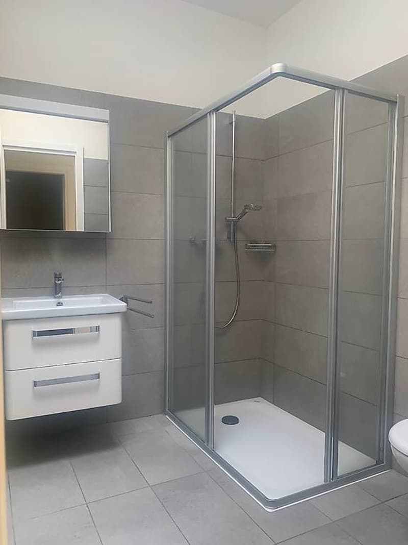 Affittiamo moderno 3.5 a San Vittore (GR) (7)