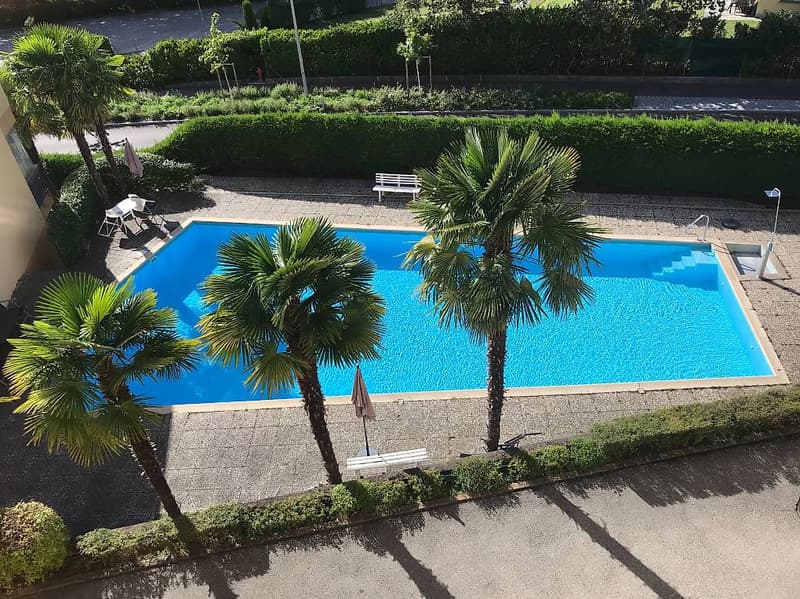 Bell'appartamento di 3.5 locali con grande terrazzo (3)