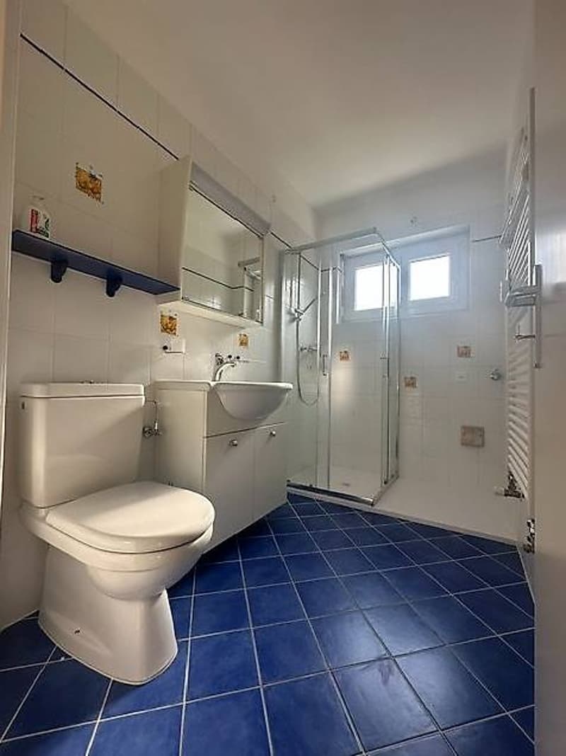 Bell'appartamento di 3.5 locali con grande terrazzo (12)