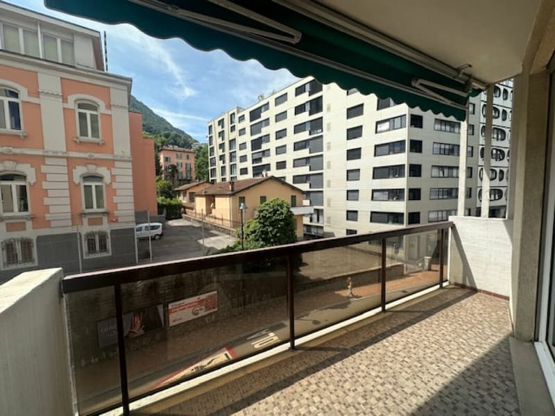 Bell'appartamento 2.5 locali a Paradiso (1)