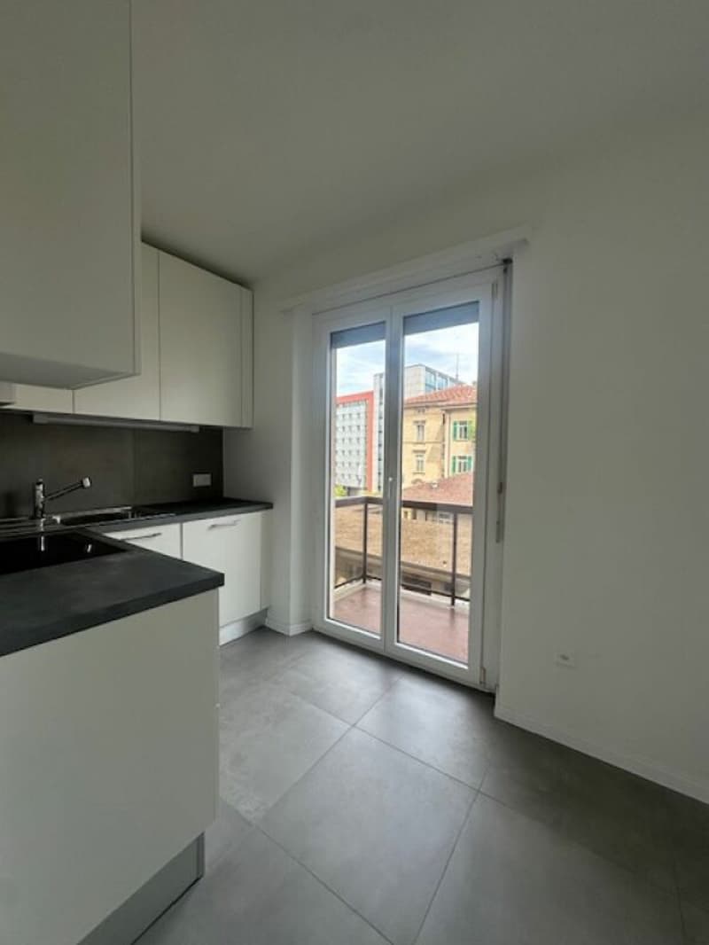 Bell'appartamento 2.5 locali a Paradiso (2)