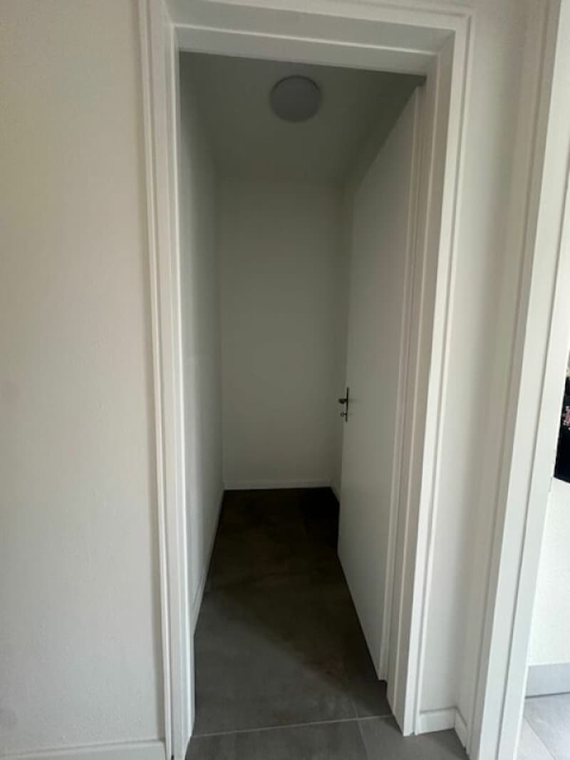 Bell'appartamento 2.5 locali a Paradiso (6)
