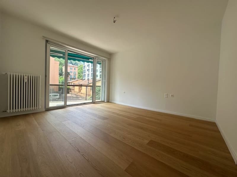 Bell'appartamento 2.5 locali a Paradiso (5)