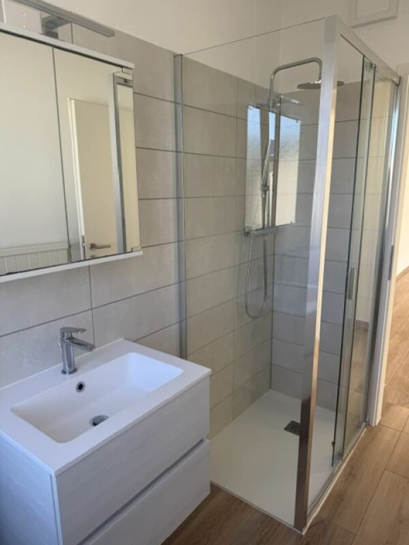 Residenza San Gottardo 17 A 2.5 (9)