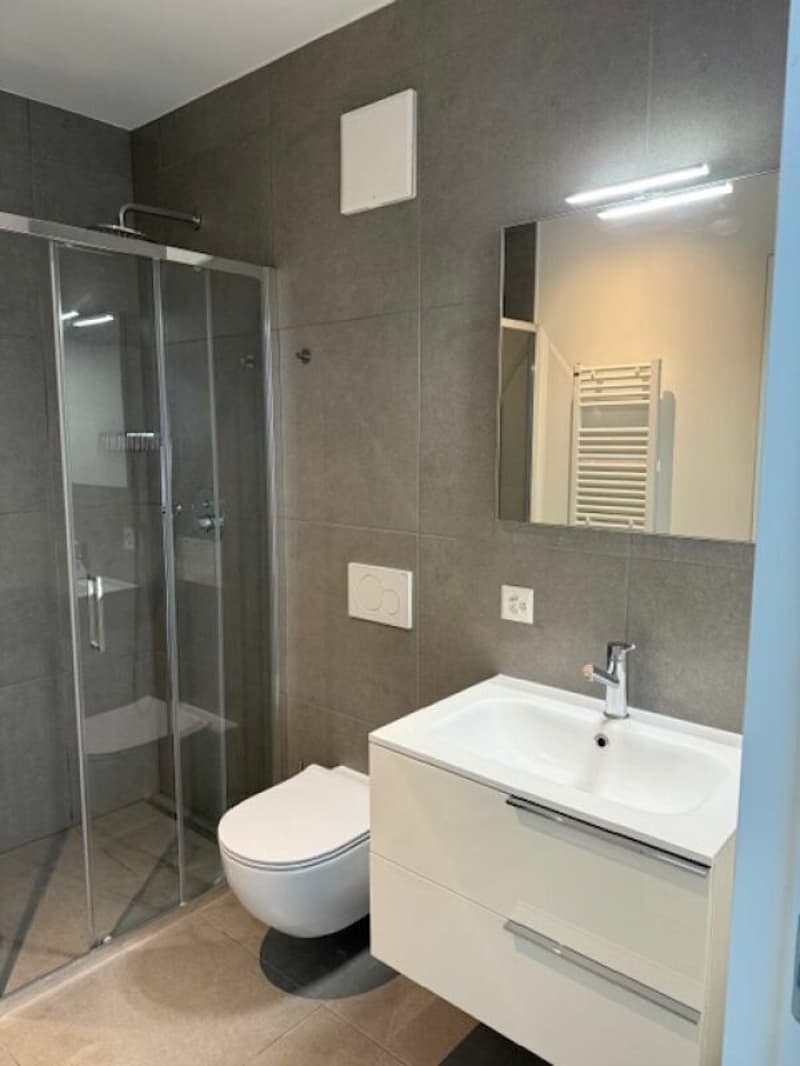 Vendiamo moderno e luminoso 3.5 locali ad Ascona (12)