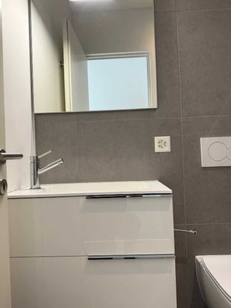 Vendiamo moderno e luminoso 3.5 locali ad Ascona (10)
