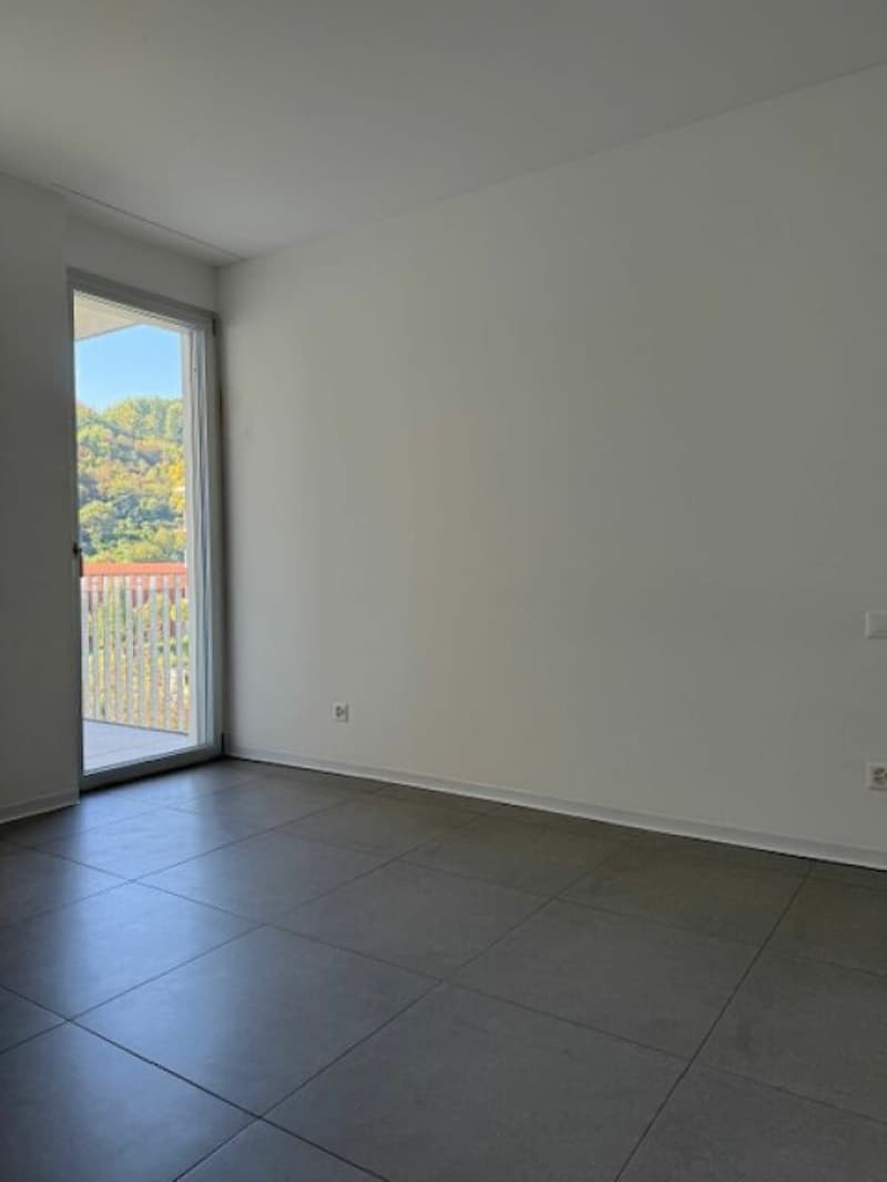 Vendiamo moderno e luminoso 3.5 locali ad Ascona (14)