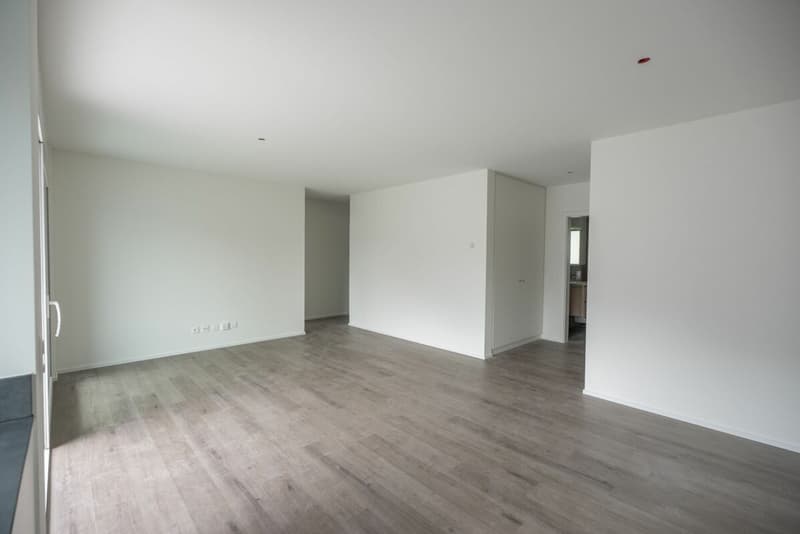 Neue und moderne 4,5-Zimmer-Wohnung in einer attraktiven Lage in Gordola (9)