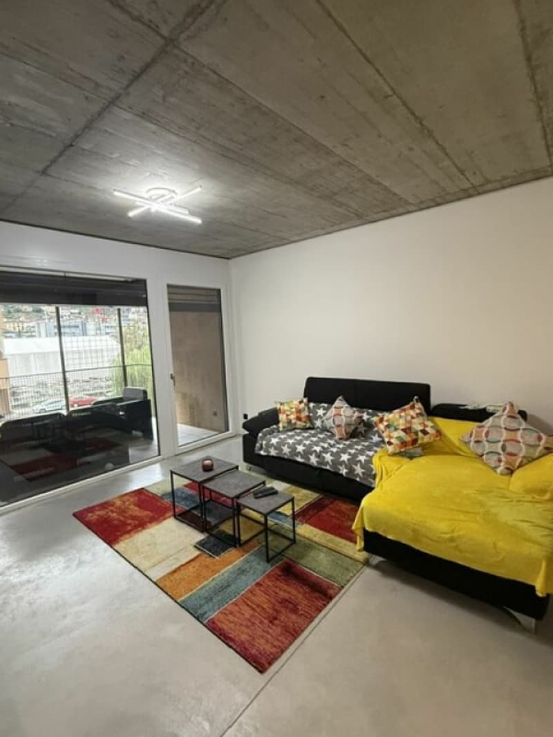 Affittiamo grande e moderno appartamento 2.5 locali in zona centrale (1)