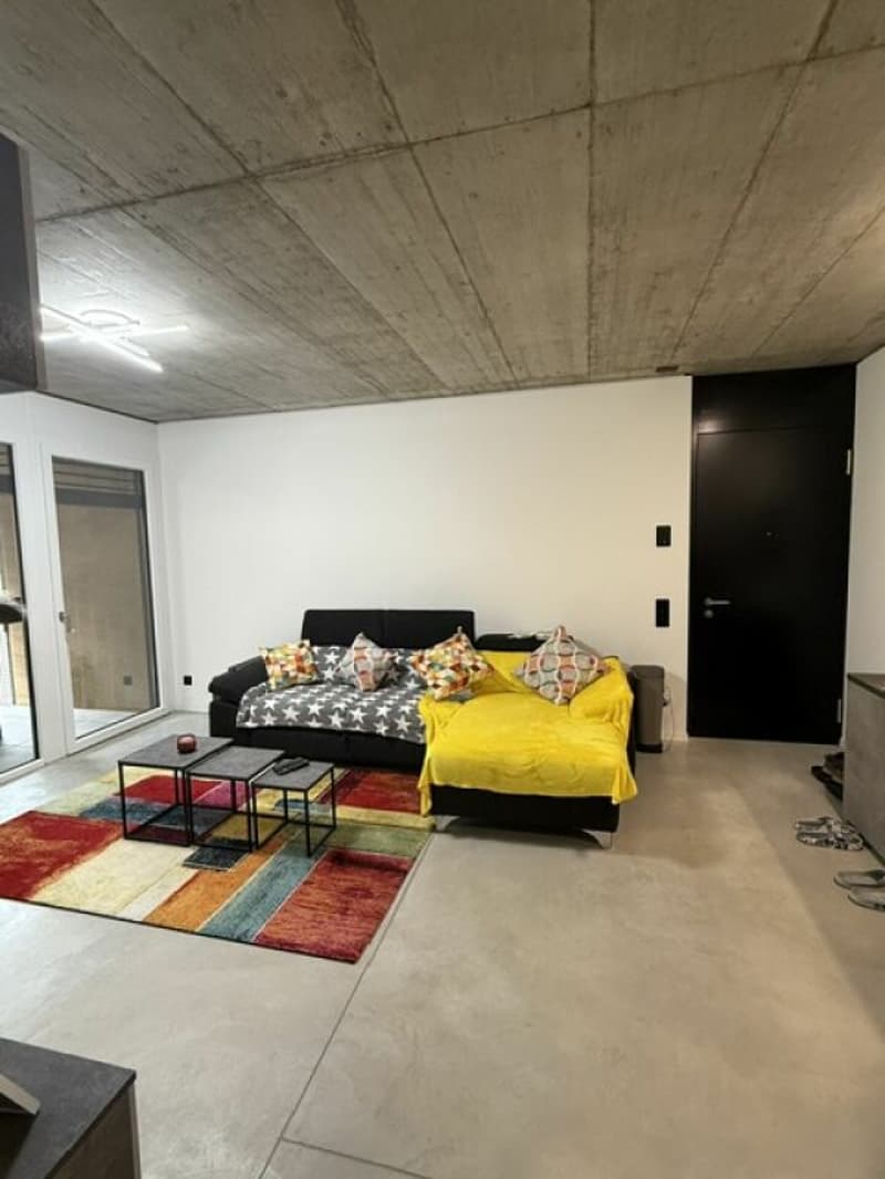 Affittiamo grande e moderno appartamento 2.5 locali in zona centrale (2)