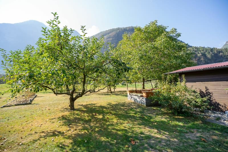 Wir verkaufen ein Einfamilienhaus in Cevio in ruhiger Lage (3)