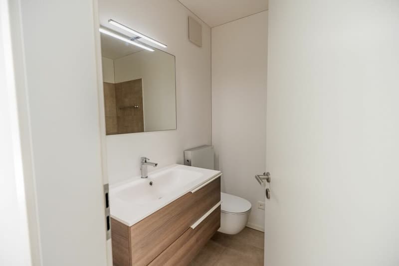 Moderno 3.5 locali a Lumino (20)