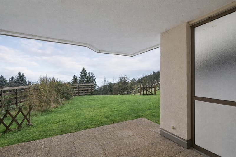 Charmant 2 pièces rénové avec jardin et vue sur le lac (10)