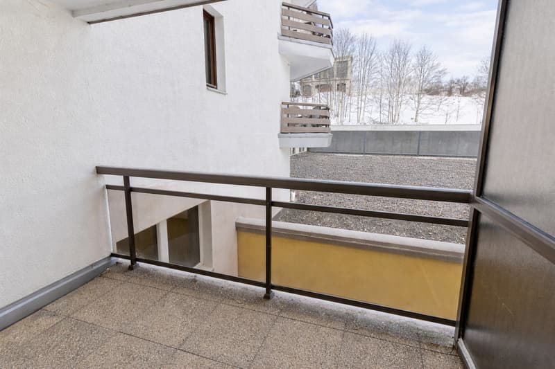 Charmant 2 pièces rénové avec jardin et vue sur le lac (9)