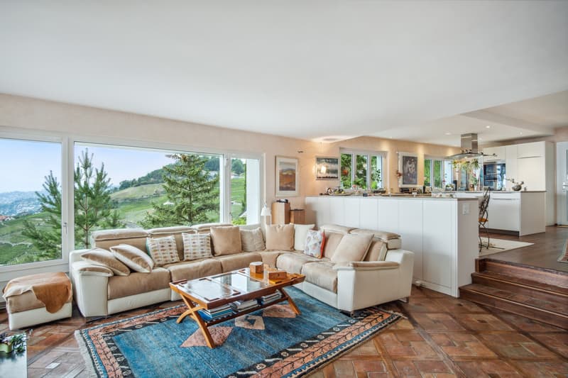 Villa individuelle avec vue panoramique sur le Léman - Lavaux (7)