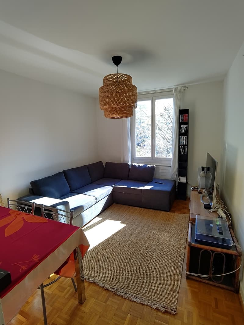 Appartement 3.5 pièces au coeur de Lausanne (6)