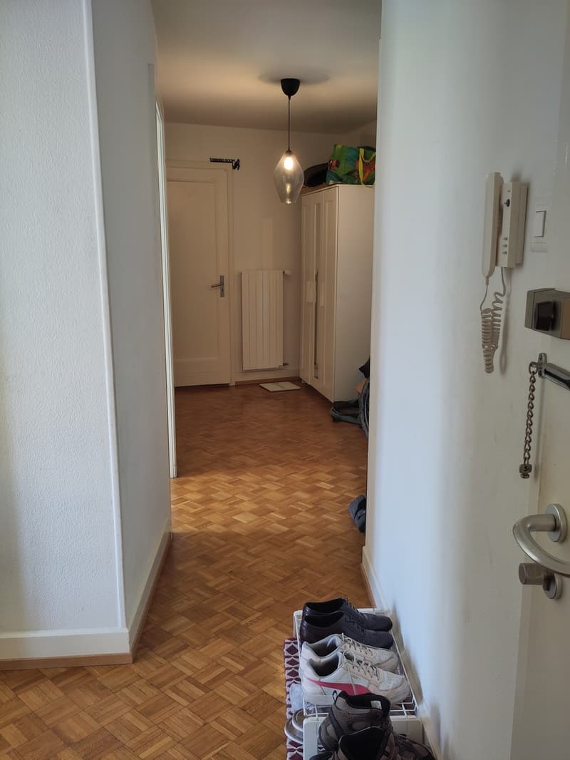 Appartement 3.5 pièces au coeur de Lausanne (2)