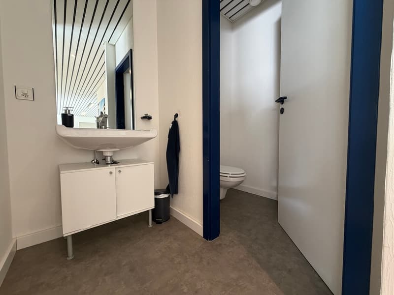 Surface commerciale lumineuse de 83 m² à louer - Nyon (9)