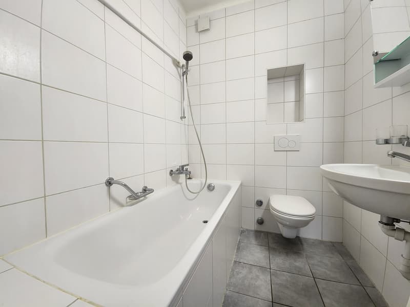Bel appartement de 3 pièces au rez-de-chaussée (7)