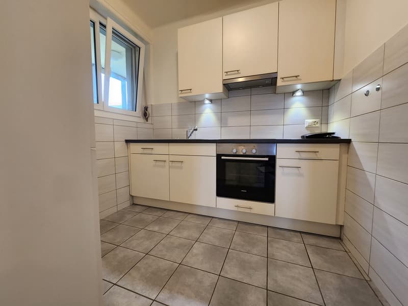 Bel appartement de 3 pièces au rez-de-chaussée (6)