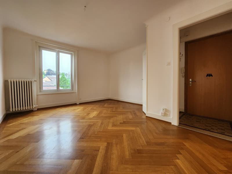 Bel appartement de 3 pièces au rez-de-chaussée (3)