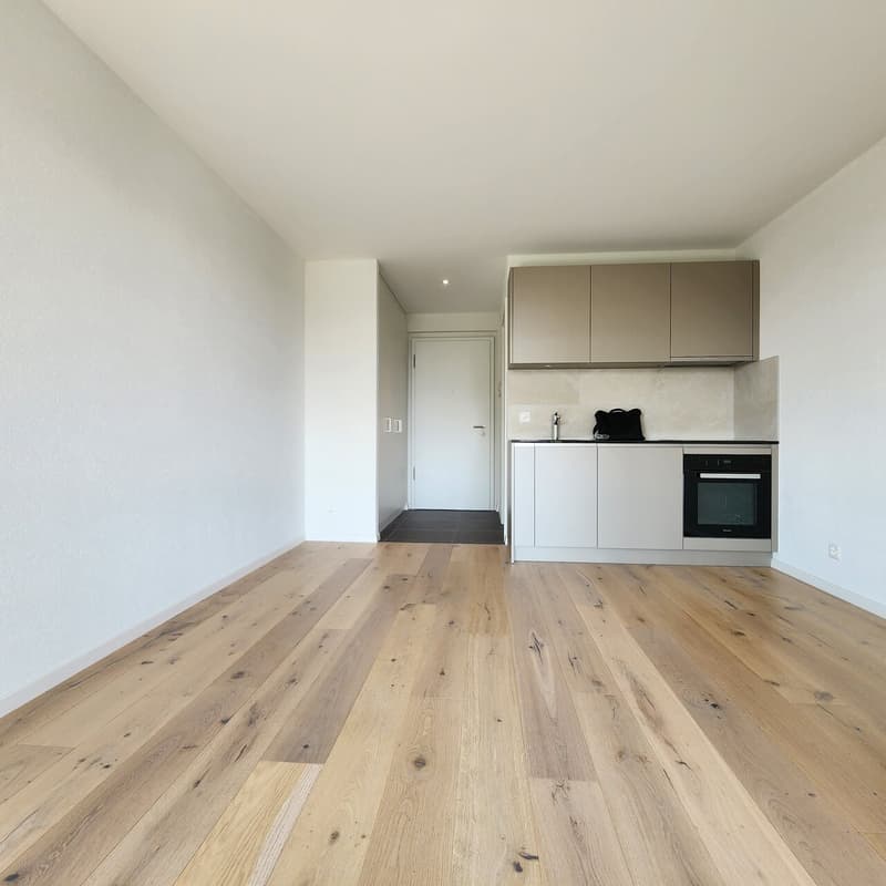 Studio au centre de Gland avec balcon (3)
