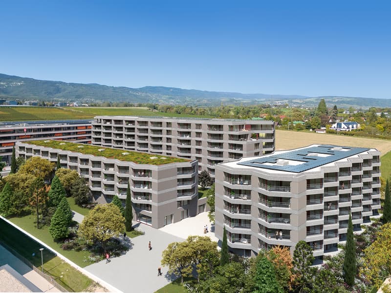 Surfaces d'activités neuves à Nyon - dernières opportunités (7)