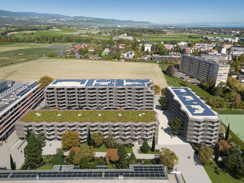 Surfaces d'activités neuves à Nyon - dernières opportunités (6)