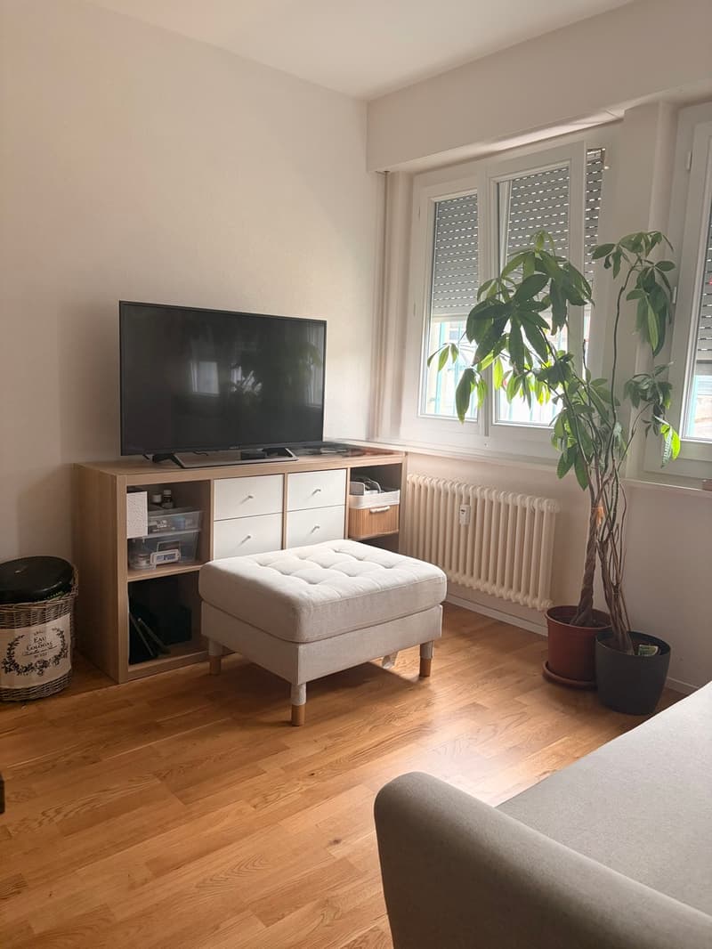 Studio à Paudex - Lumineux et idéalement situé (3)