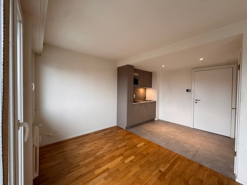 Studio lumineux avec balcon à Paudex (3)