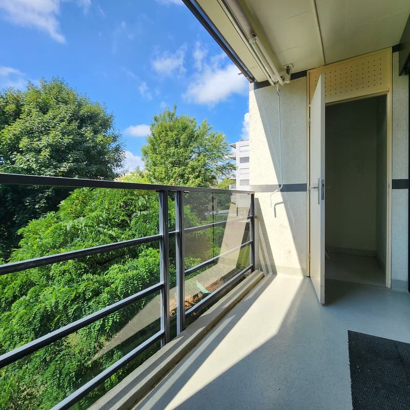 Appartement de 4,5 pièces traversant avec deux balcons (11)
