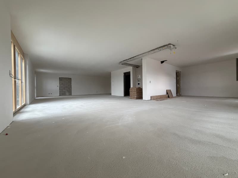 Deux surfaces d'activités de 122 m² à aménager selon vos envies (4)