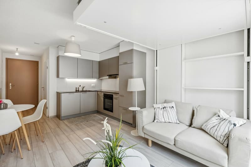 Splendide studio meublé (4)