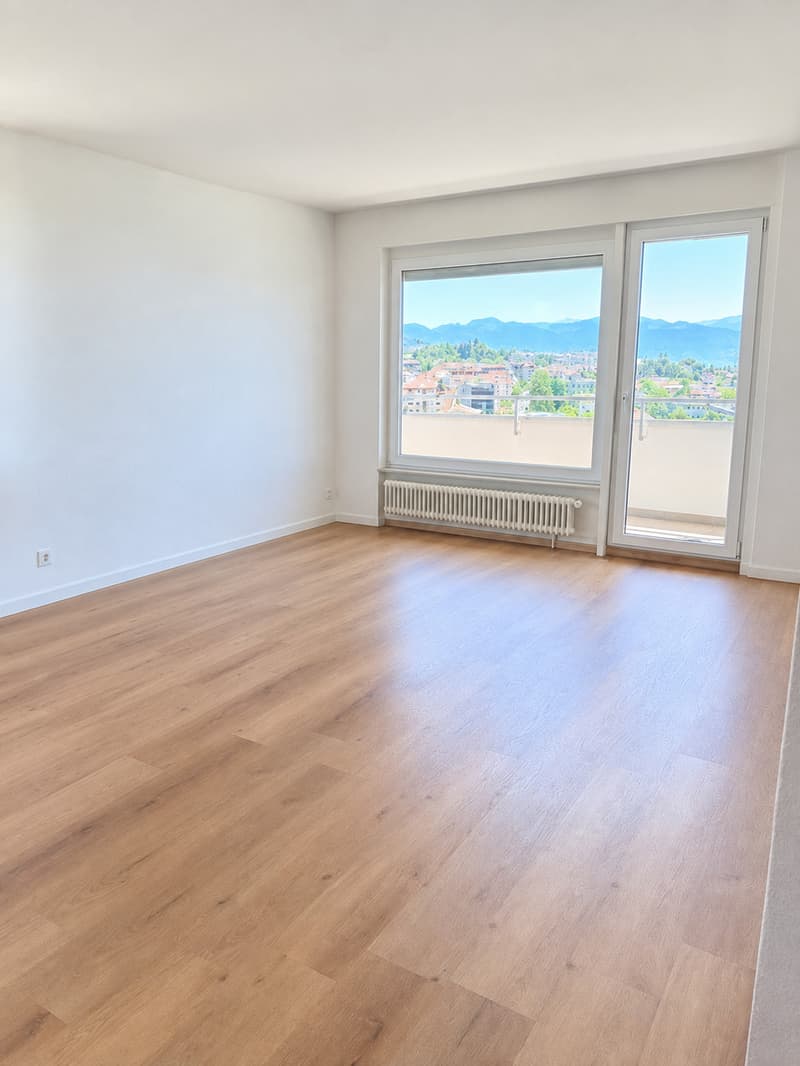 Lausanne - Lumière et confort dans un appartement entièrement rénové (1)